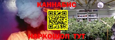 индика Ярцево